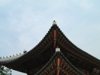Dscf0585