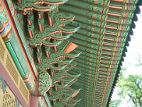 Dscf0603