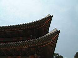 DSCF0587.JPG