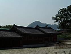 DSCF0598.JPG