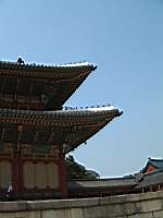 Dscf0599.jpg