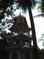 Dscf0172.jpg