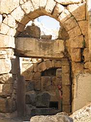 5b.jpg