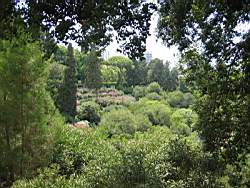 IMG_1651.jpg