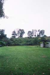 16600034.jpg