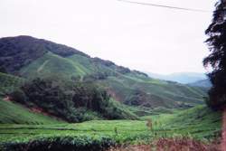 16600050.JPG