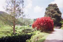 16600059.JPG