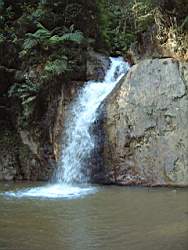 Dscf2263.jpg