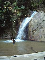 Dscf2265.jpg