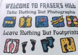 fraser6g.jpg