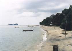 LANG4G.jpg