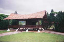 16510098.JPG