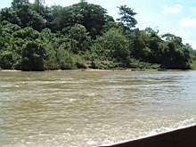 DSCF0795.JPG