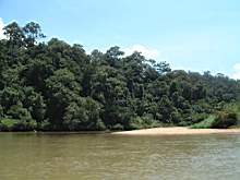 DSCF0807.JPG