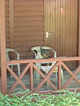 Dscf0809.jpg