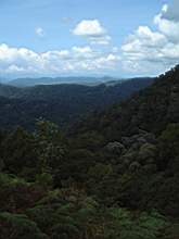 Dscf0830.jpg