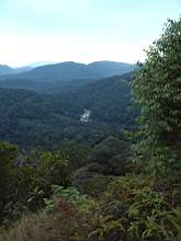 Dscf0831.jpg