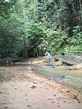 Dscf0833.jpg