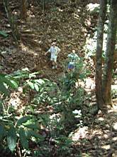 Dscf0834.jpg
