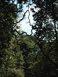 dscf0023.jpg
