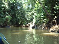 dscf0025.jpg