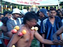DSCF2234.JPG