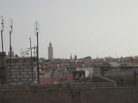 IMG 1449