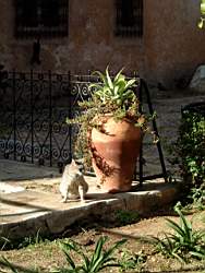 DSCF5462.JPG