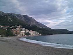 IMG_20131113_152626.jpg