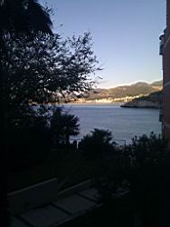 IMG_20131117_073309.jpg