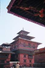 16540041.jpg