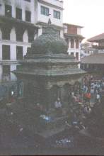 16630035.jpg