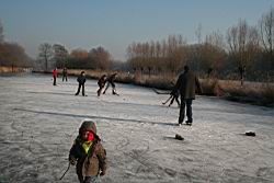 2009.01.10.18.jpg