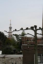 2009.03.01.04.jpg