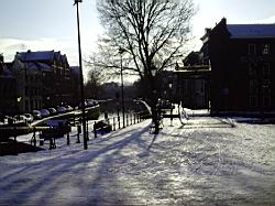 2010.01.30.08.jpg