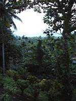 Lae3.jpg