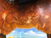 2019.10.27.132
