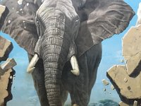 2019.10.27.32