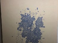 IMG 2962