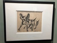IMG 2973