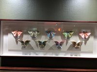 IMG 2977