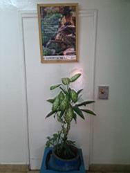 IMG_20100802_162517.jpg