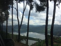 IMG 4269