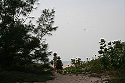 2010.10.30-31.10.jpg