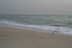 2010.10.30-31.78.jpg