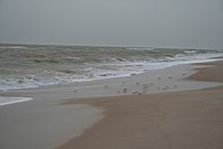 2010.10.30-31.84.jpg