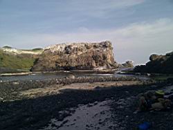 2010.11.21.04.jpg