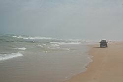 2011.01.31.02.jpg