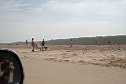 2011.01.31.04.jpg