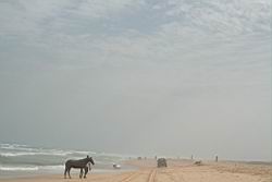 2011.01.31.05.jpg